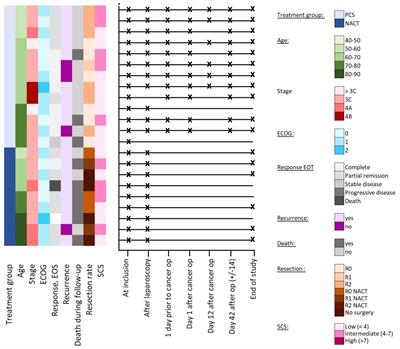 New immune phenotypes for treatment response in high-grade serous ovarian carcinoma patients